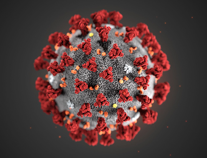 coronavirus